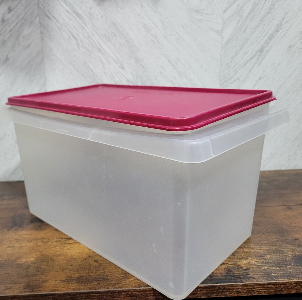 Tupperware Small Carry All